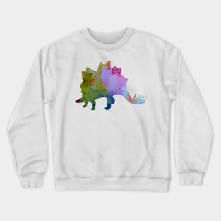 Stegosaurus Crewneck Sweatshirt